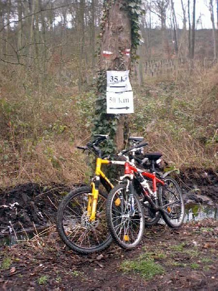 Le Beau Mollet 2004